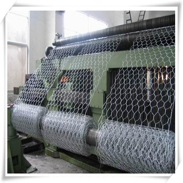 hexagonal wire mesh supply 