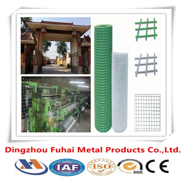 welded wire mesh/galvanized mesh