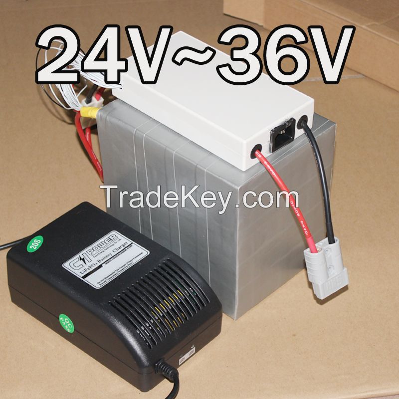 24V, 36V electric bike LiFePO4 battery