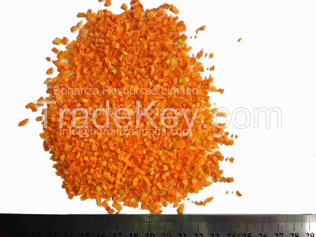 Freeze Dried Carrot