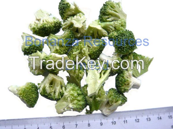 Freeze Dried Broccoli