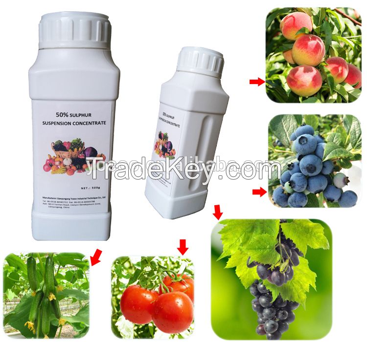 Agriculture liquid Sulfur Suspension Insecticide Fungicide