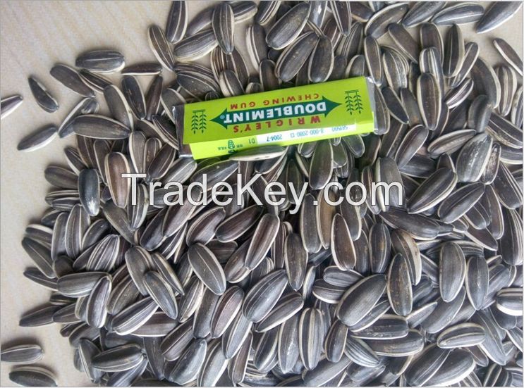 Sunflower Seeds