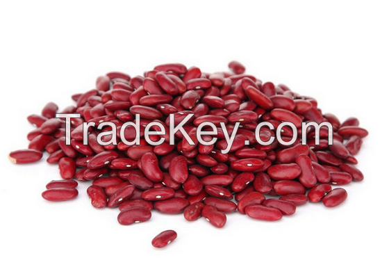 Red Kidney Beans