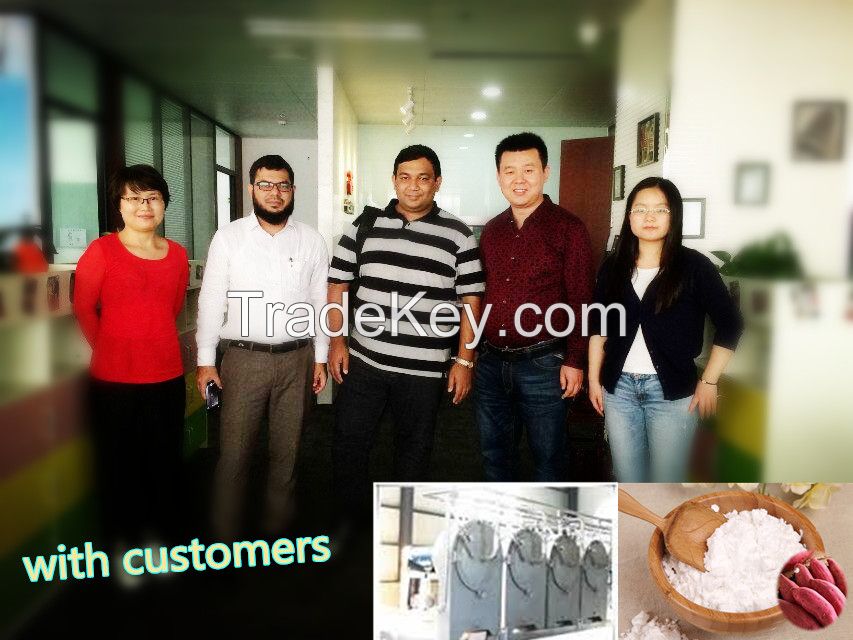 high quality cassava starch processing machine with CE