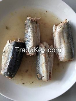 canned mackerel fish in vegetable oil