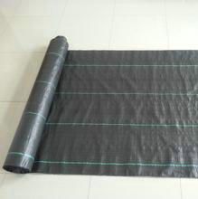 Black flat yarn woven weed barrier fabric with colored stripes used for agriculture