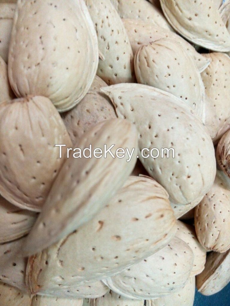 Organic Almond