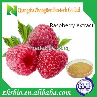 100% Pure Natural Raspberry Extract Powder Raspberry ketone 99%