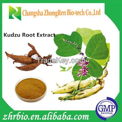 High Quality Kudzu Root Extract 80%-99% Puerarin Powder