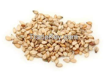 High Quality Natural Healthy & White Sesame Seeds
