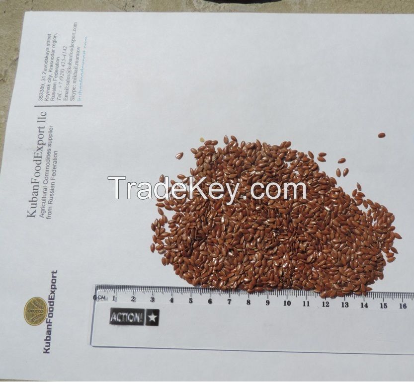 Linseed (flax seed)