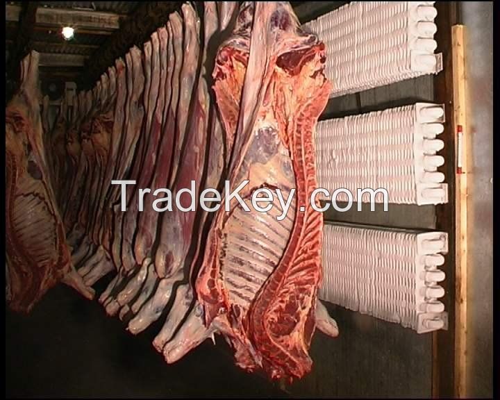  Frozen Halal Beef, Goat Meat, Lamb Meat, Sheep Meat