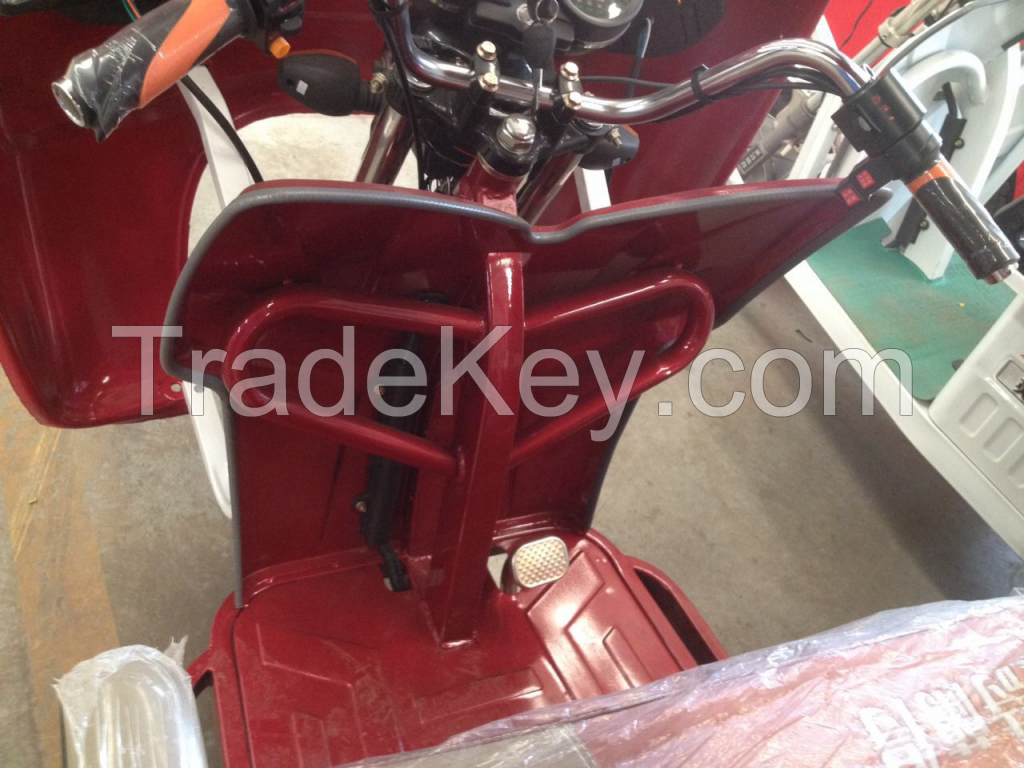 Indian Model Electric Rickshaw for Sale