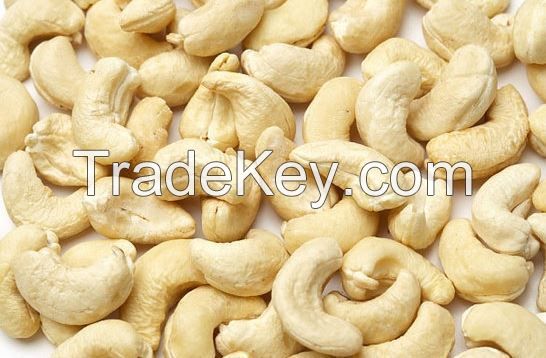 Quality Dried/Raw CASHEW