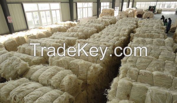 UG Grade White Sisal Fiber,High Quality Wide Range Sisal Fiber 