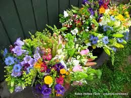 Fresh Cut Flowers