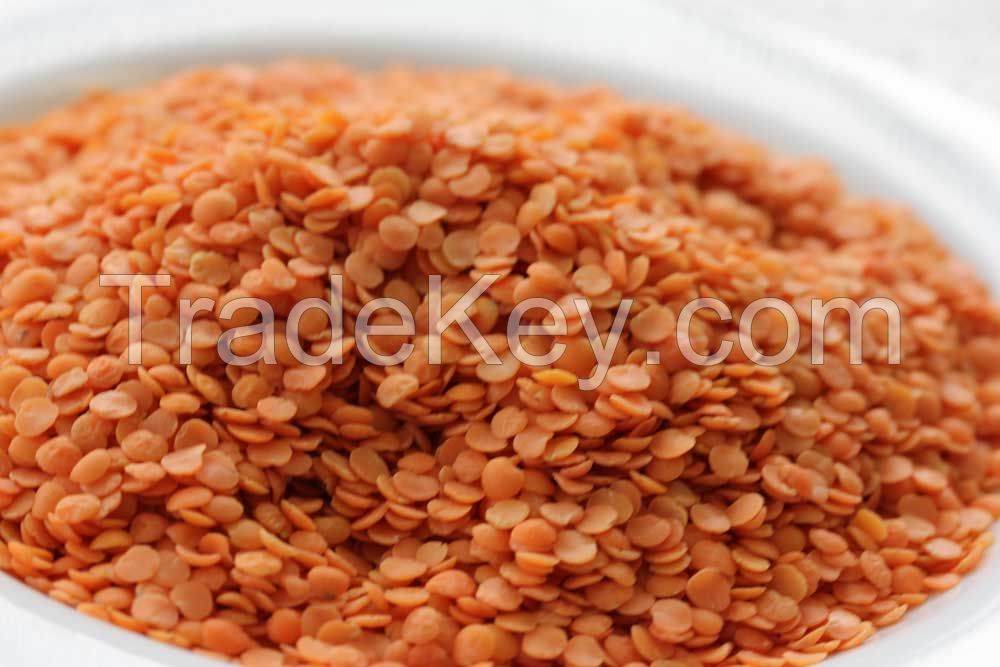 Premium Quality Split Red Lentils For Export!