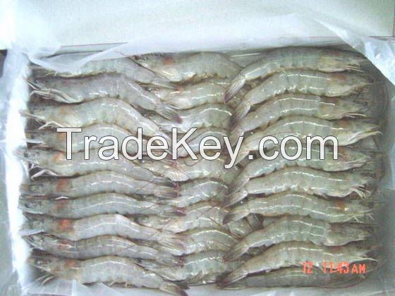 IQF HLSO or Hoso frozen Penaeus Vannamei Shrimp