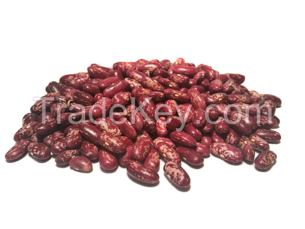 Kidney beans