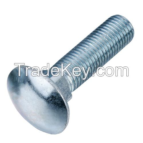 TAINLESS STEEL mushroom head square BOLT