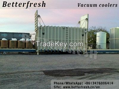 Asia Fresh Produce Vacuum Cooler 1 Pallet-24pallets