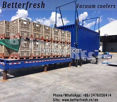 Factory Green Produce Vacuum Cooler With Good Price Better Quality