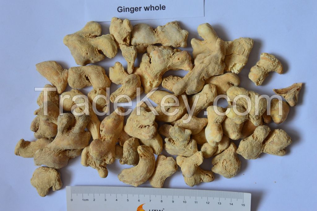 Dehydrated ginger whole