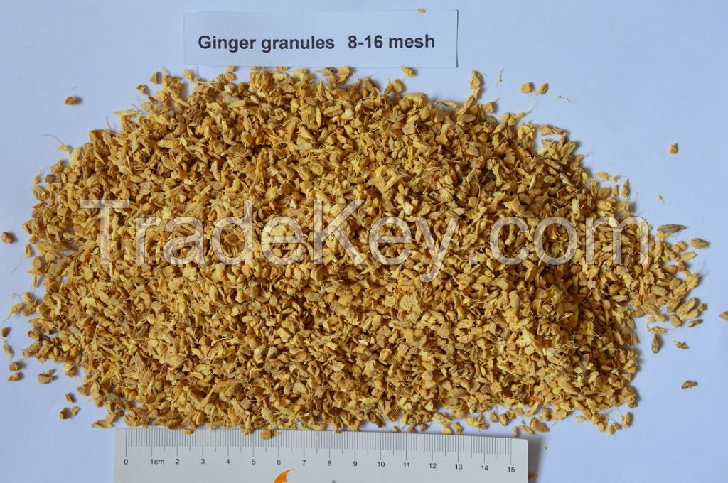 Dehydrated  ginger granules 8-16mesh