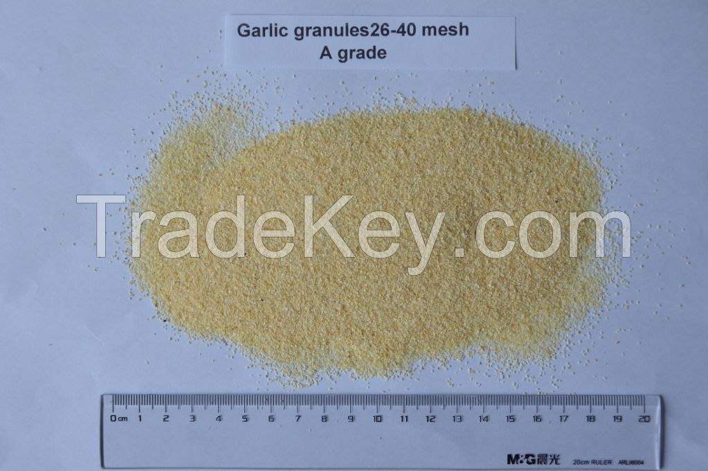 Dehydrated Garlic granules 26-40mesh