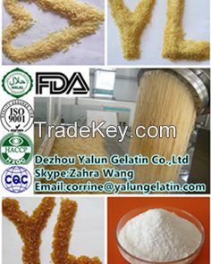 Edible gelatin/Food additive/yogurt gelatin