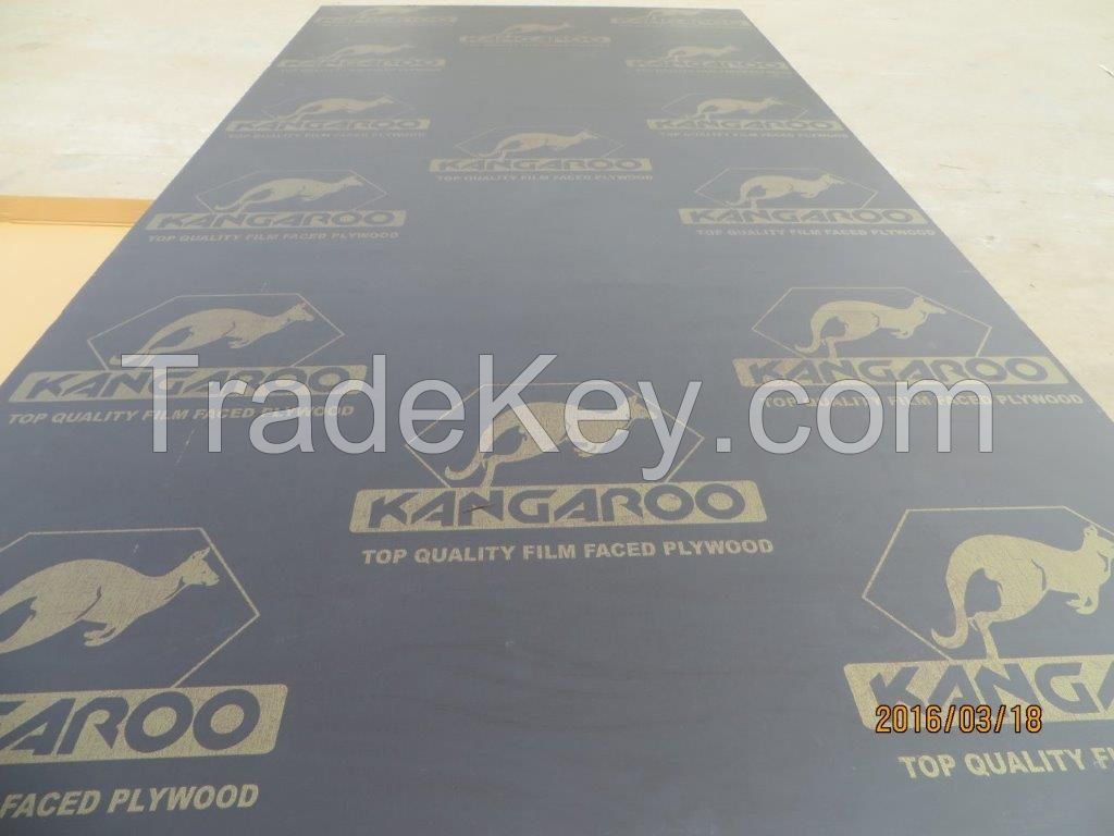 &#039;KANGAROO&#039; BRAND FILM FACED PLYWOOD, POPLAR CORE, WBP MELAMINE GLUE, BROWN PRINTED FILM