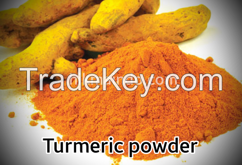 Turmeric powder.