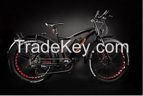 Electric Fat Tire Bike