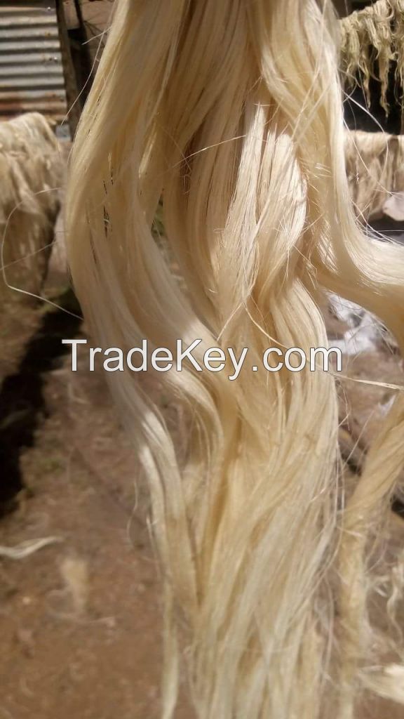 Sisal Fiber UG GRADE A