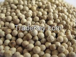 White pepper