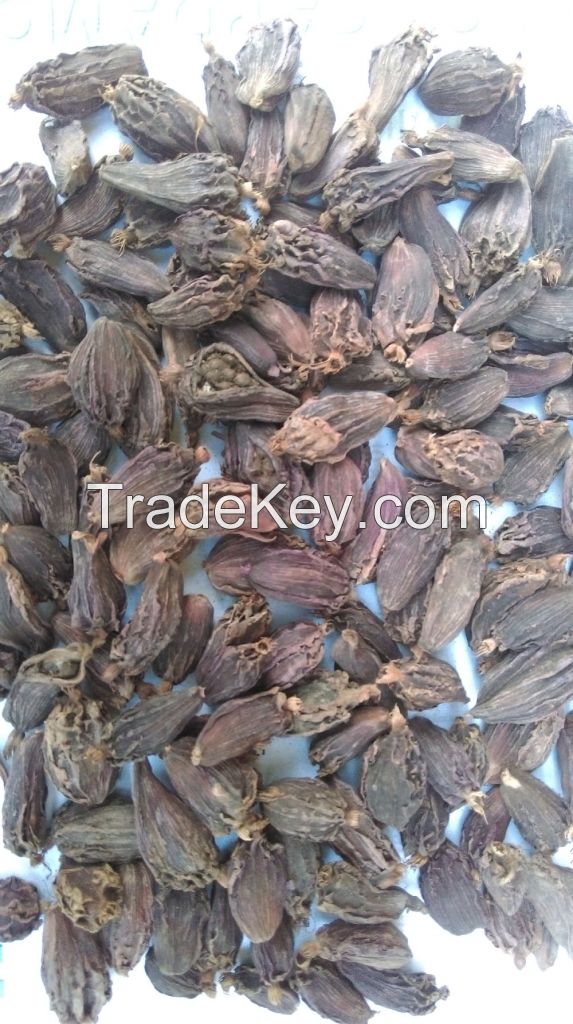 Black Cardamom