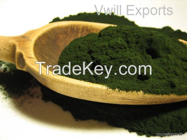 Organic Spirulina Powder