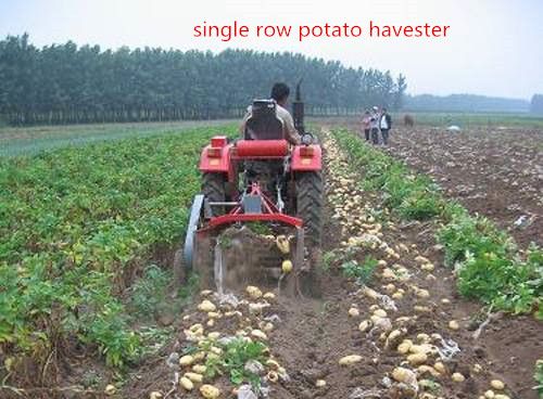 high efficiency  self loading potato harvester, potato planter, potato seeder,