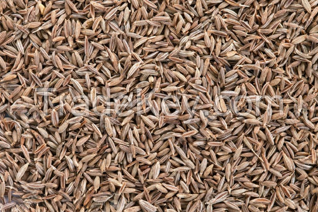 Cumin Seed