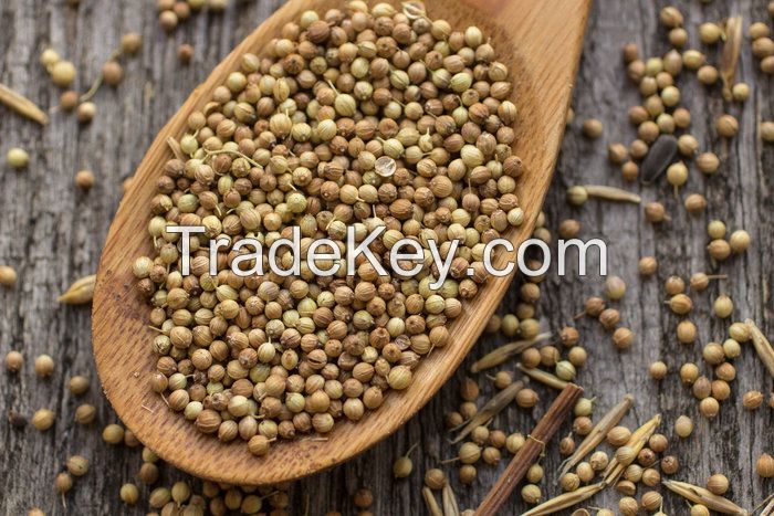 Coriander Seeds