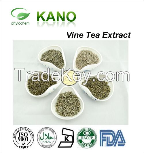 High Quality Vine Tea Extract 50%-98% Dihydromyricetin,DMY,DHM, by HPLC 