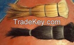 NATURAL CLEAN COW TAIL HAIR FOR SALE