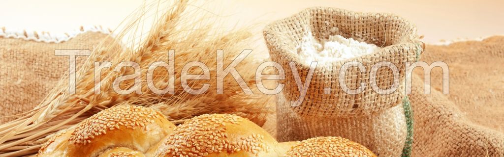 WHEAT FLOUR / WHEAT BRAN / Hard Wheat Grain / Whole Wheat Flour / WHEAT FLOUR FOR BREAD (BAKERY)