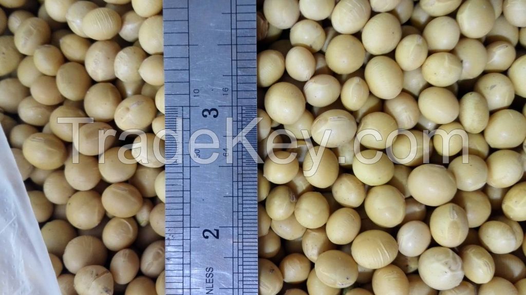 Soybeans