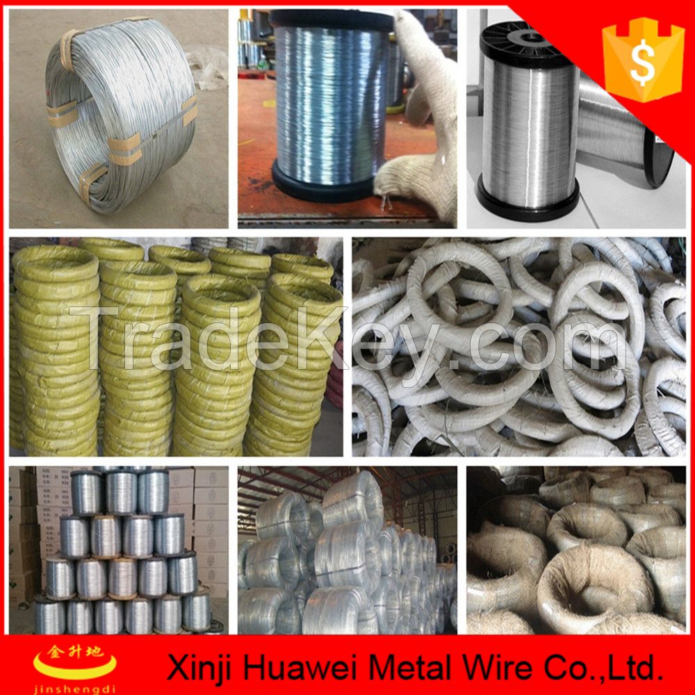 Hot selling products electro galvanized wire for bird cages