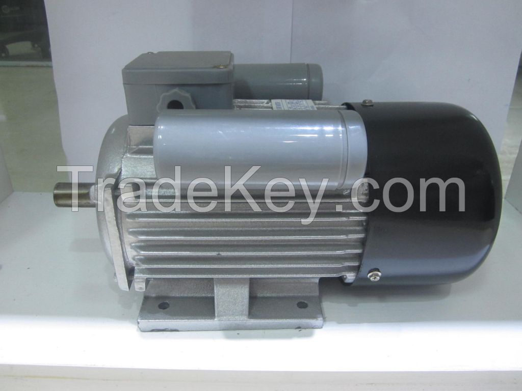 YC/YCL Series Electric Motor With Cast Iron Body