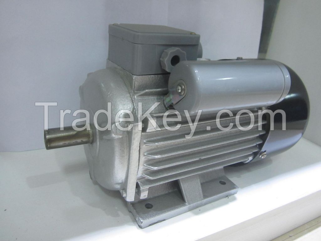 YC/YCL Series Electric Motor With Cast Iron Body