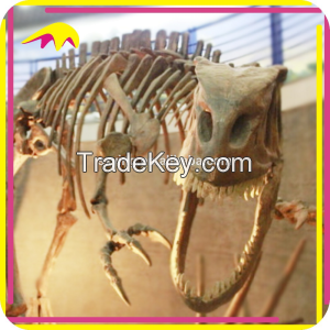 KANO2339 Theme Park Attractive Fake Dinosaur Skeleton Fossil