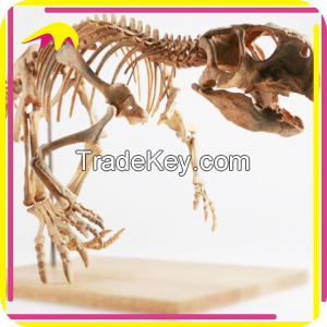 KANO2339 Theme Park Attractive Fake Dinosaur Skeleton Fossil